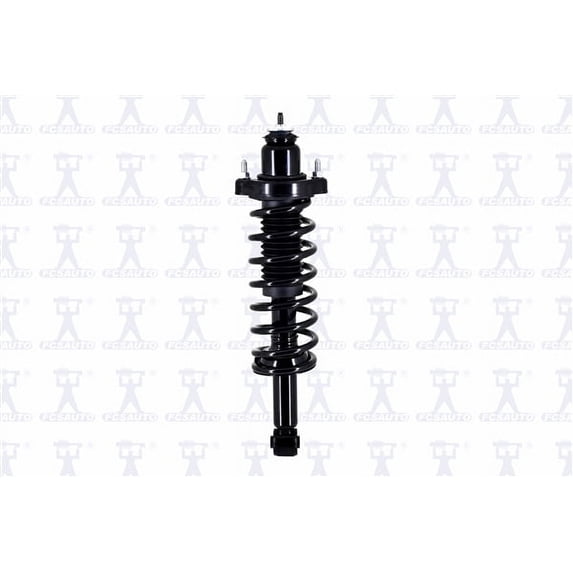 Suspension Strut and Coil Spring Assembly