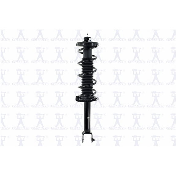 Suspension Strut and Coil Spring Assembly