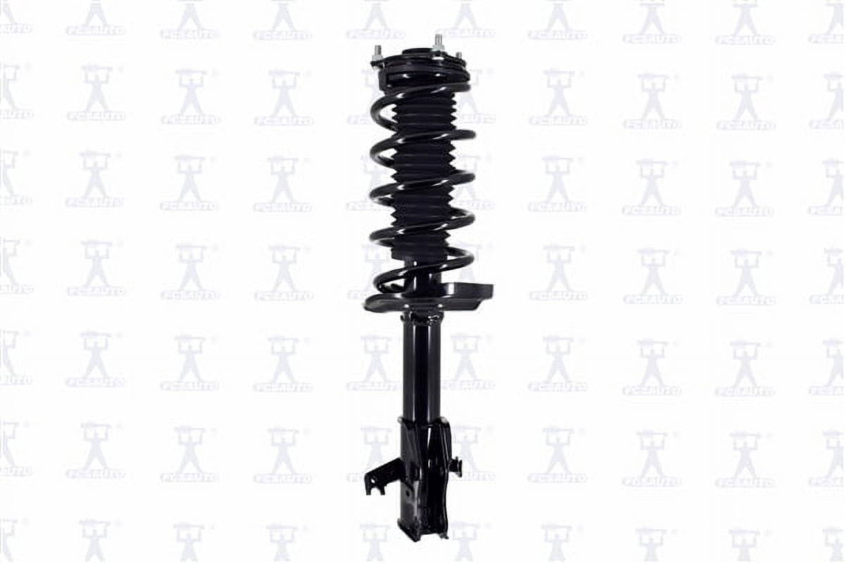 Suspension Strut and Coil Spring Assembly