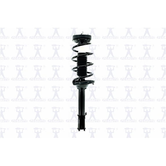 Suspension Strut and Coil Spring Assembly