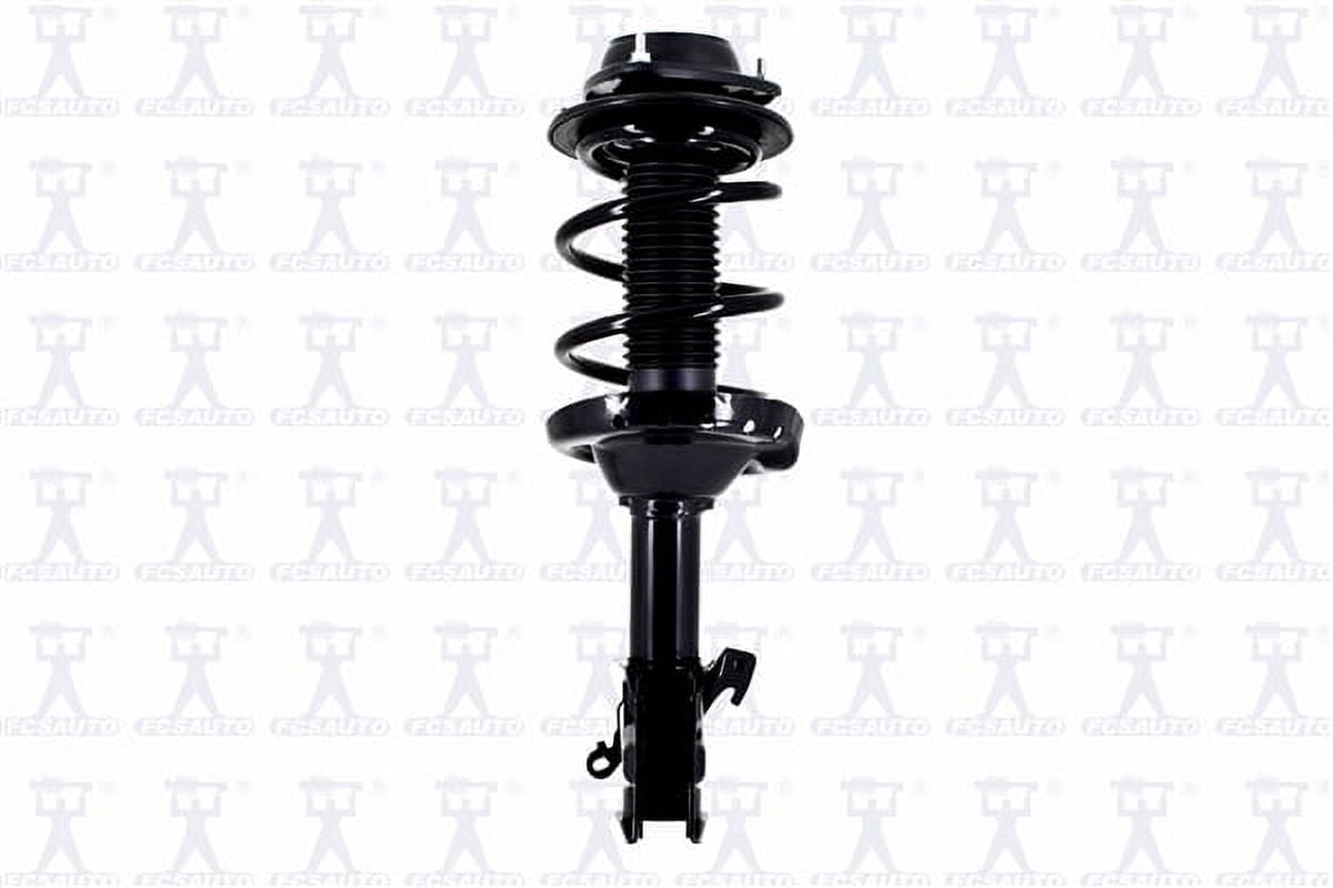 Suspension Strut and Coil Spring Assembly