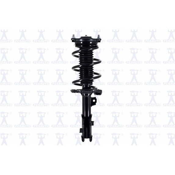 Suspension Strut and Coil Spring Assembly