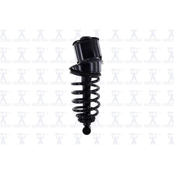 Suspension Strut and Coil Spring Assembly