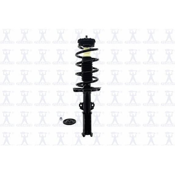 Suspension Strut and Coil Spring Assembly