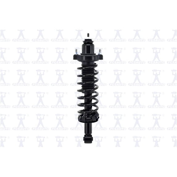 Suspension Strut and Coil Spring Assembly