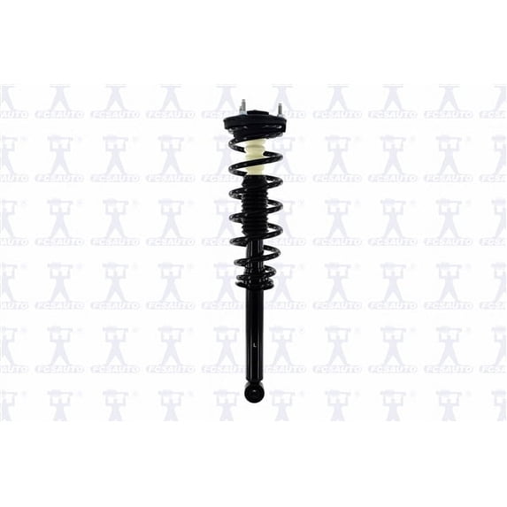 Suspension Strut and Coil Spring Assembly