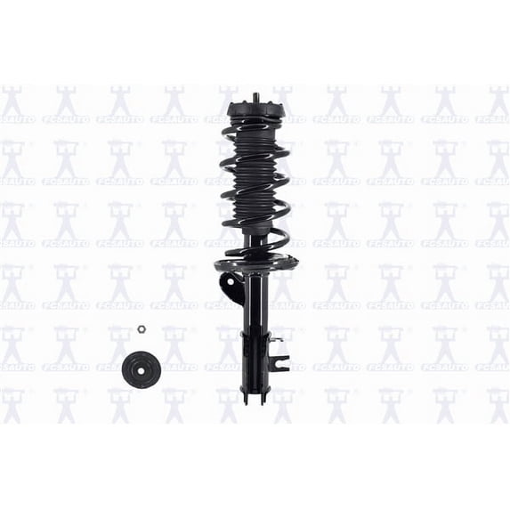 Suspension Strut and Coil Spring Assembly
