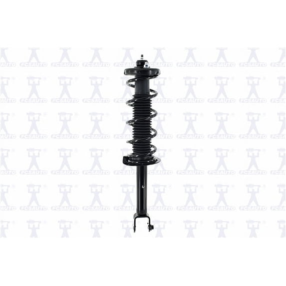 Suspension Strut and Coil Spring Assembly