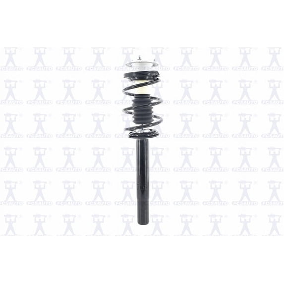 Suspension Strut and Coil Spring Assembly