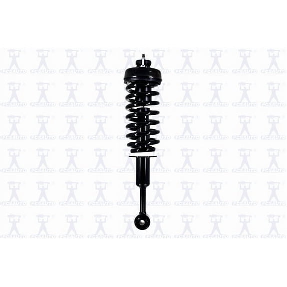 Suspension Strut and Coil Spring Assembly