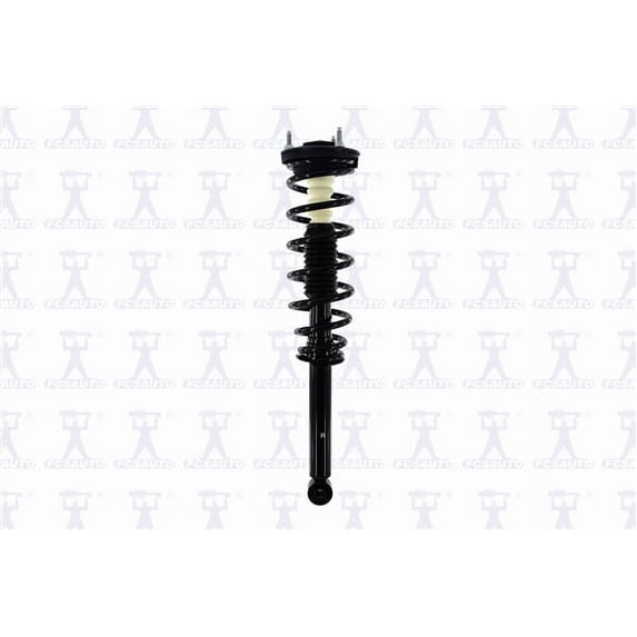 Suspension Strut and Coil Spring Assembly