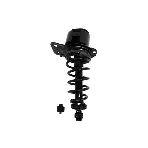 Suspension Strut and Coil Spring Assembly