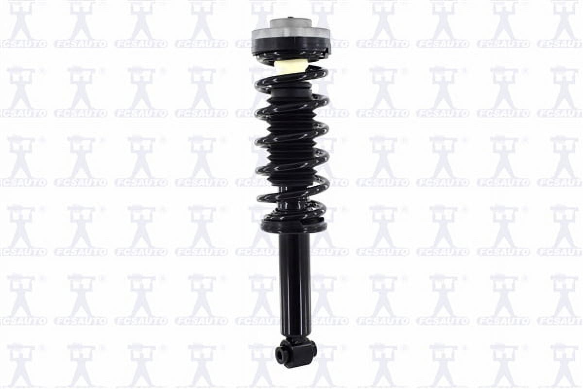 Suspension Strut and Coil Spring Assembly