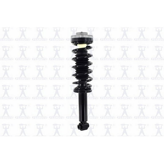 Suspension Strut and Coil Spring Assembly