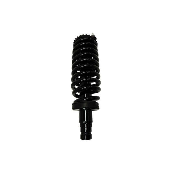 Suspension Strut and Coil Spring Assembly
