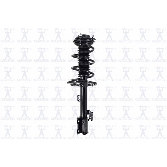 Suspension Strut and Coil Spring Assembly