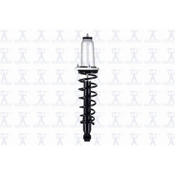 Suspension Strut and Coil Spring Assembly