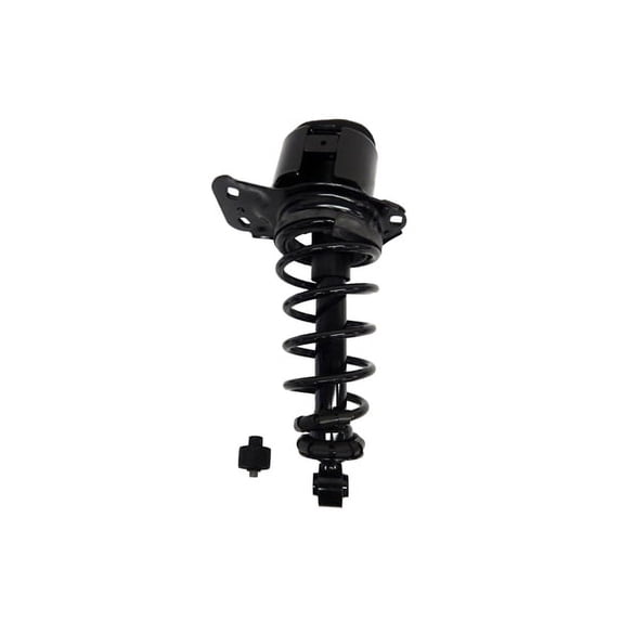 Suspension Strut and Coil Spring Assembly