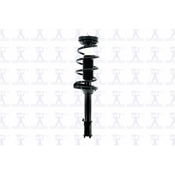 Suspension Strut and Coil Spring Assembly