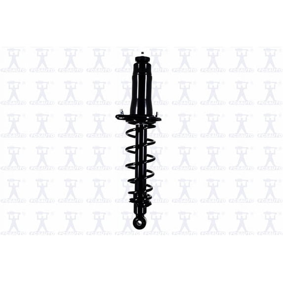 Suspension Strut and Coil Spring Assembly
