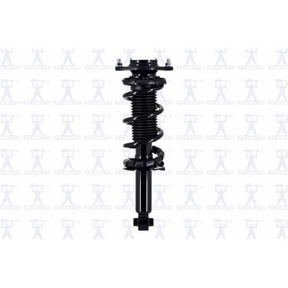 Suspension Strut and Coil Spring Assembly