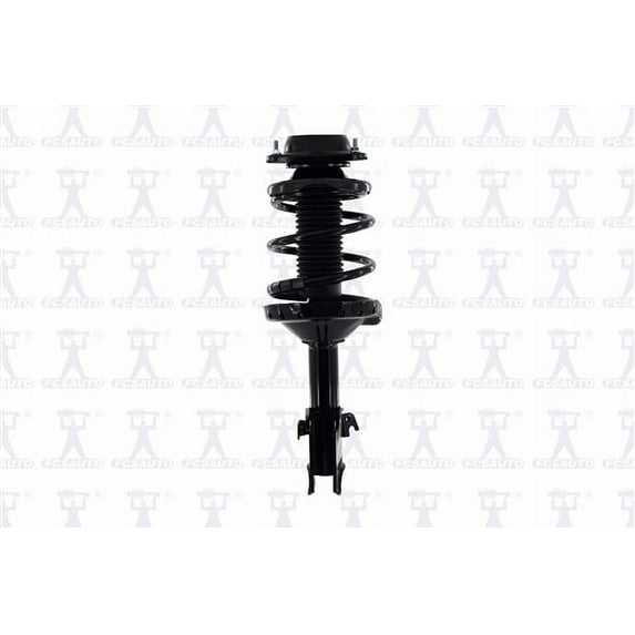 Suspension Strut and Coil Spring Assembly