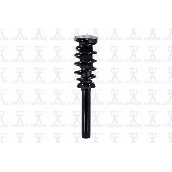 Suspension Strut and Coil Spring Assembly