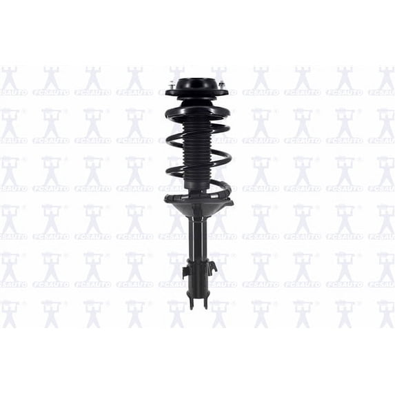 Suspension Strut and Coil Spring Assembly
