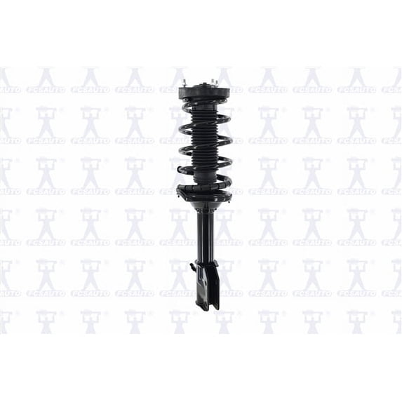Suspension Strut and Coil Spring Assembly