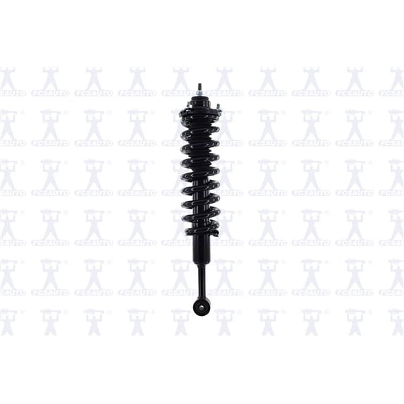 Suspension Strut and Coil Spring Assembly