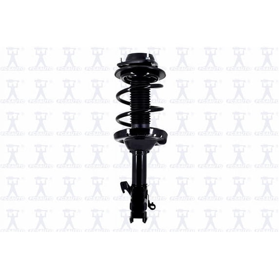 Suspension Strut and Coil Spring Assembly