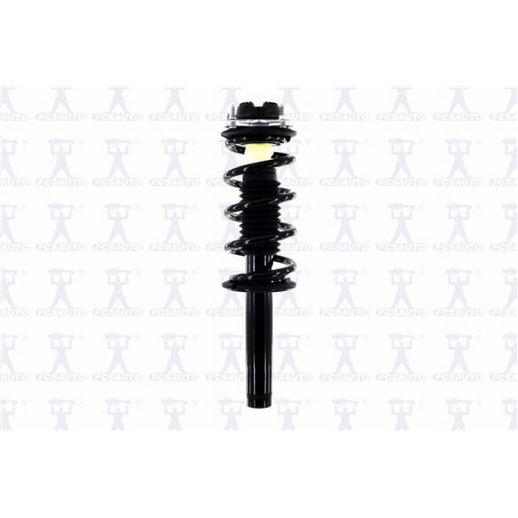 Suspension Strut and Coil Spring Assembly