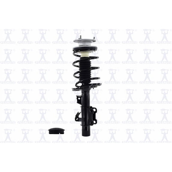 Suspension Strut and Coil Spring Assembly