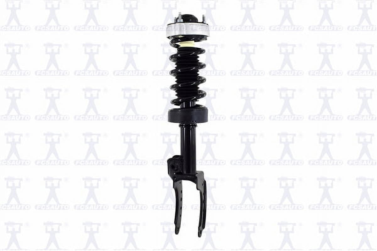 Suspension Strut and Coil Spring Assembly