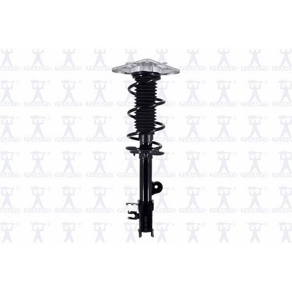 Suspension Strut and Coil Spring Assembly
