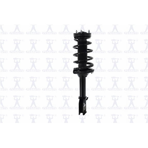 Suspension Strut and Coil Spring Assembly