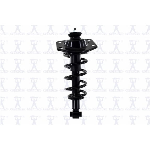 Suspension Strut and Coil Spring Assembly