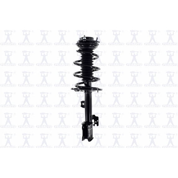 Suspension Strut and Coil Spring Assembly