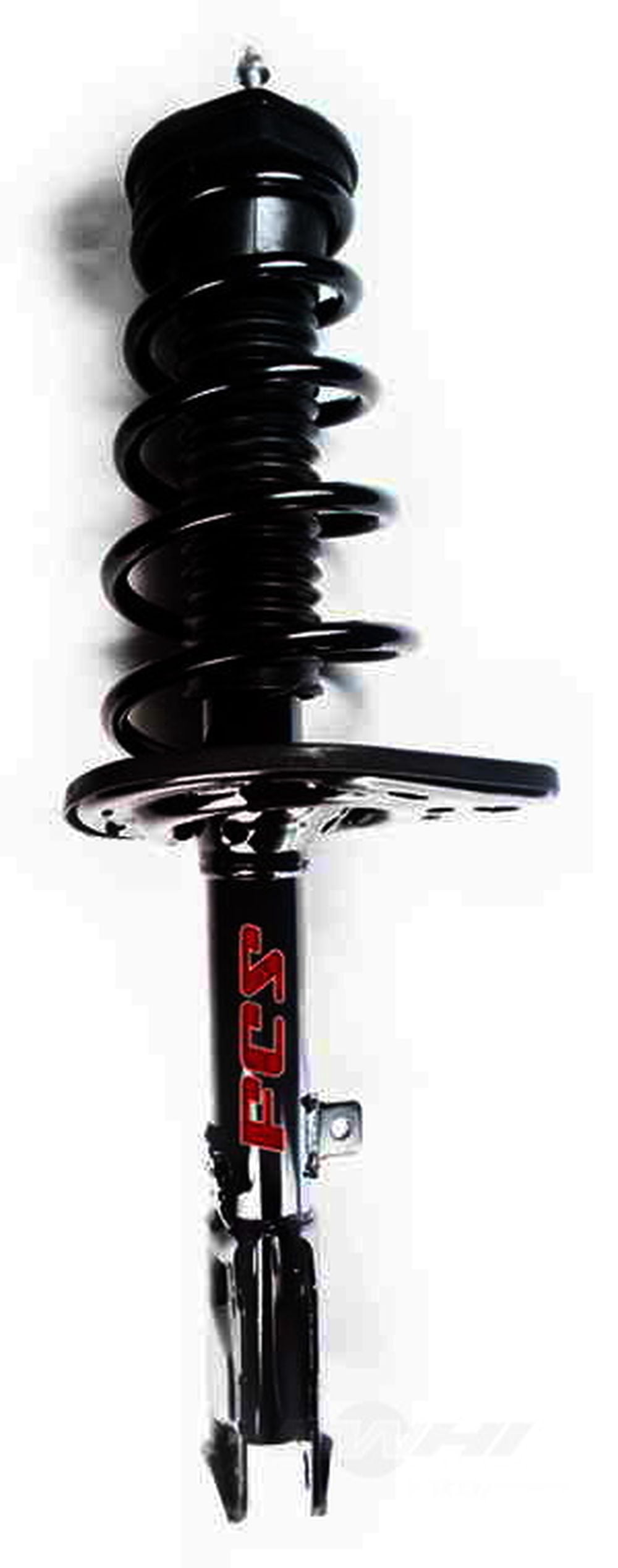 Suspension Strut and Coil Spring Assembly