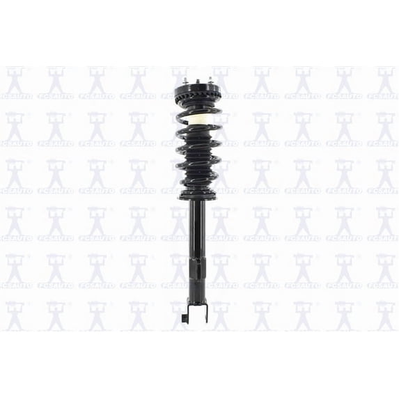 Suspension Strut and Coil Spring Assembly