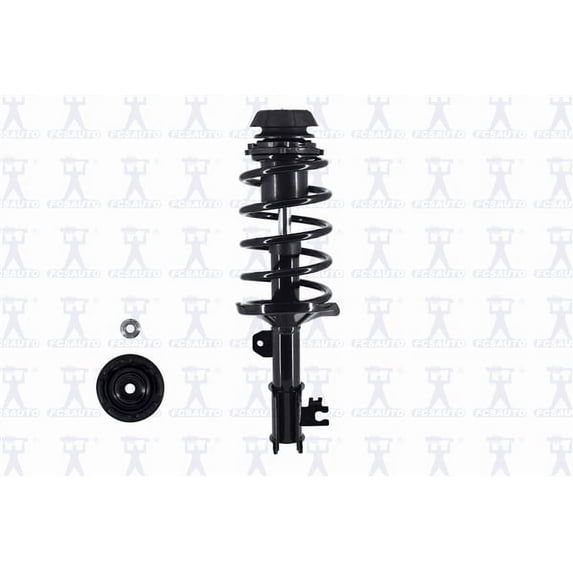Suspension Strut and Coil Spring Assembly