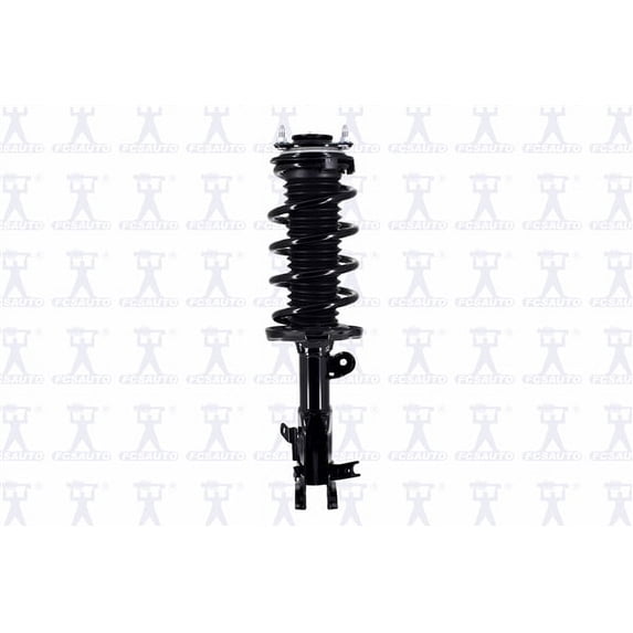Suspension Strut and Coil Spring Assembly