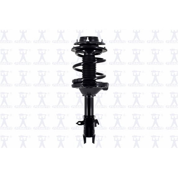 Suspension Strut and Coil Spring Assembly