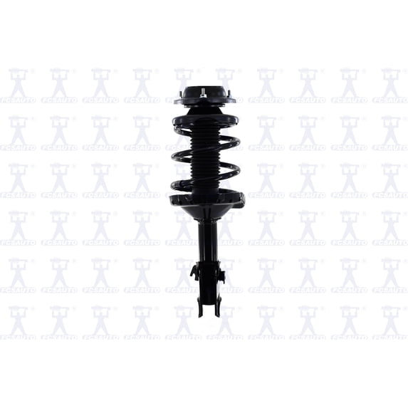 Suspension Strut and Coil Spring Assembly
