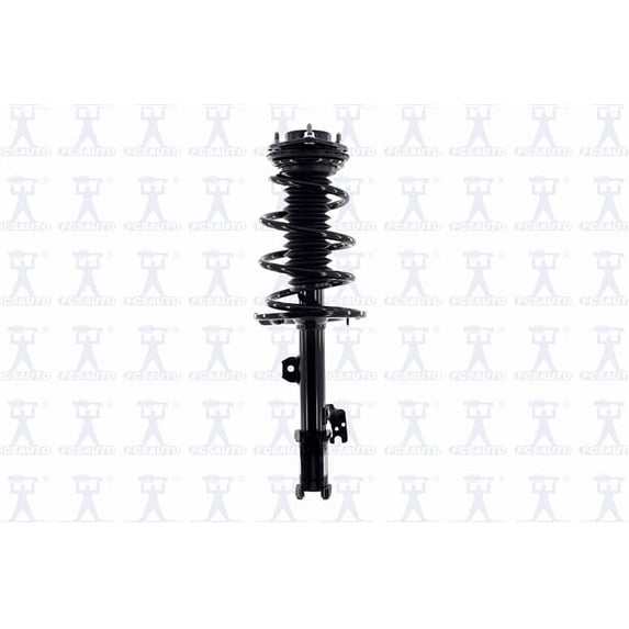 Suspension Strut and Coil Spring Assembly