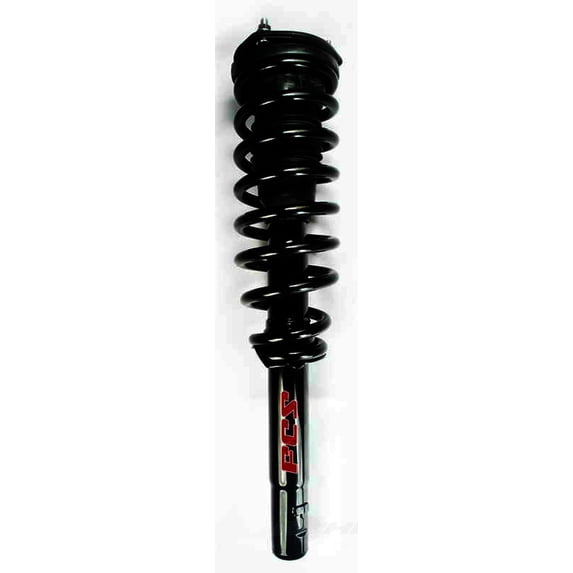 Suspension Strut and Coil Spring Assembly