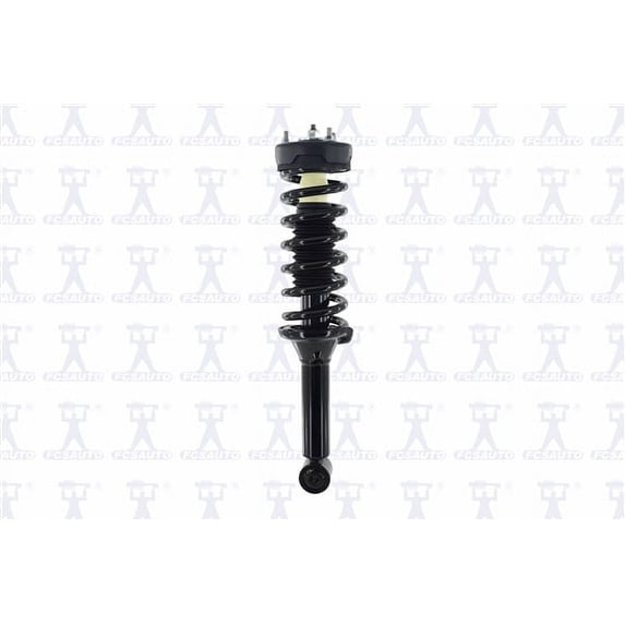 Suspension Strut and Coil Spring Assembly