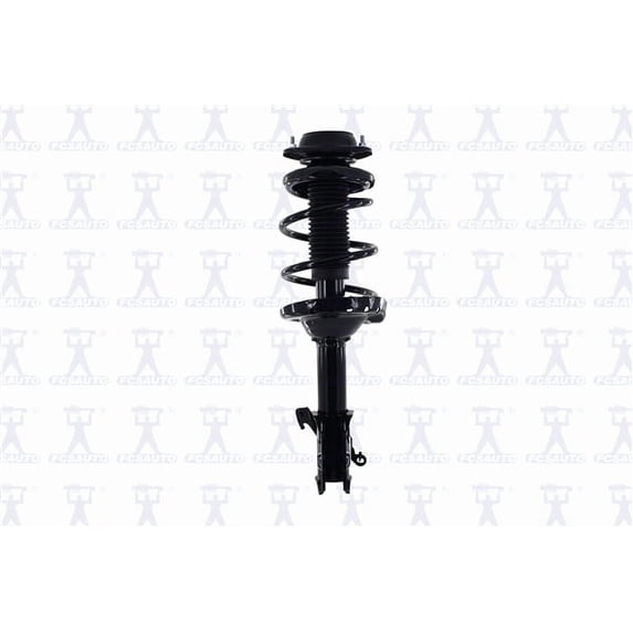 Suspension Strut and Coil Spring Assembly