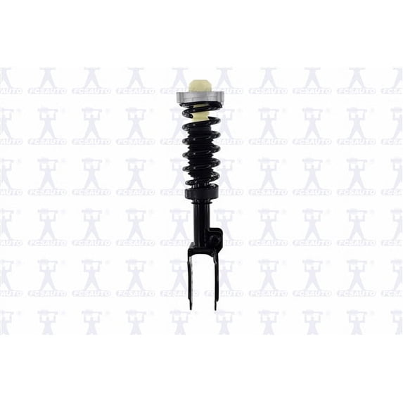 Suspension Strut and Coil Spring Assembly