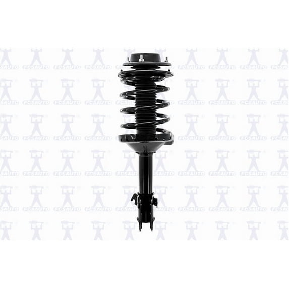 Suspension Strut and Coil Spring Assembly